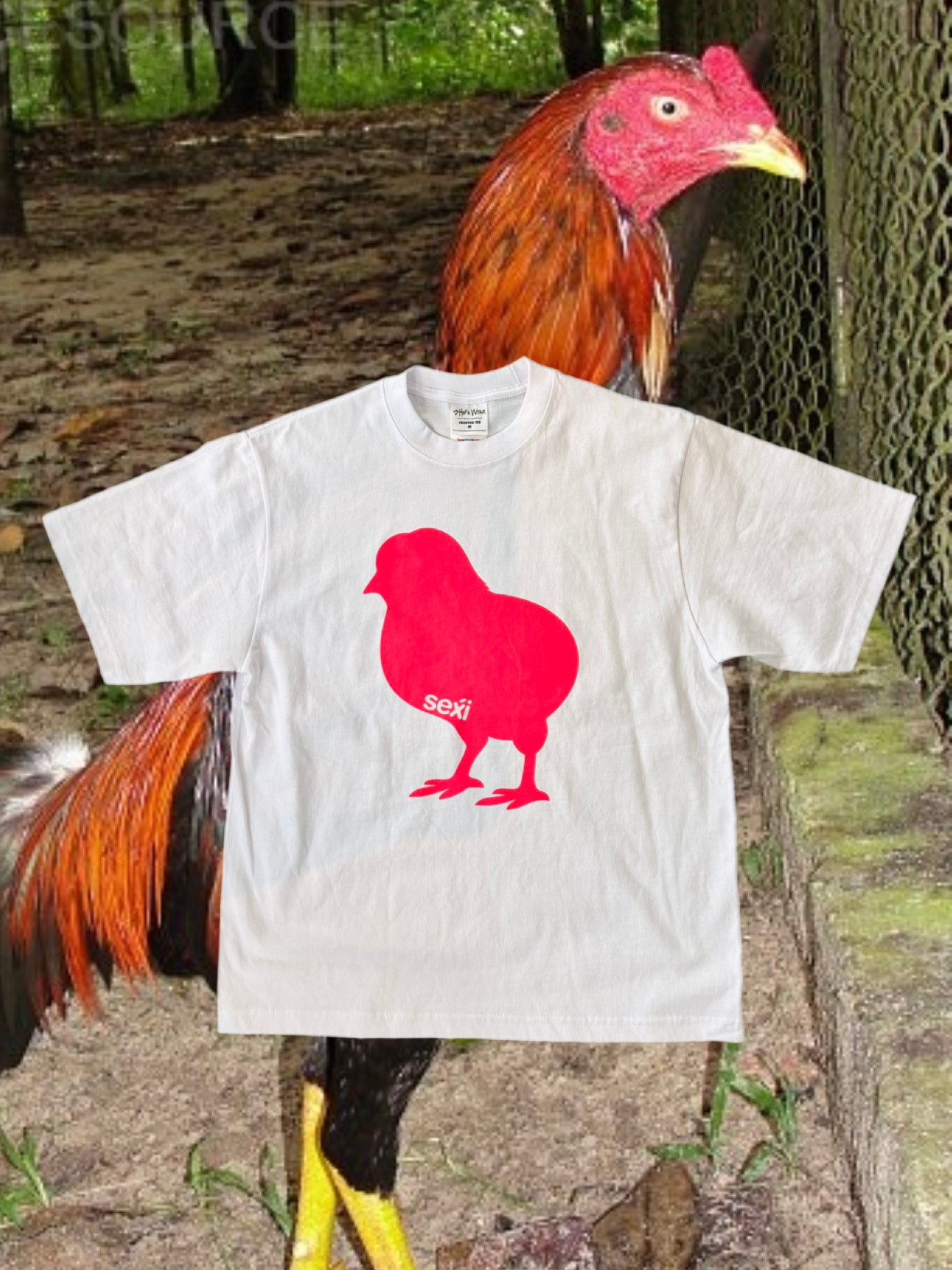 pollito tee